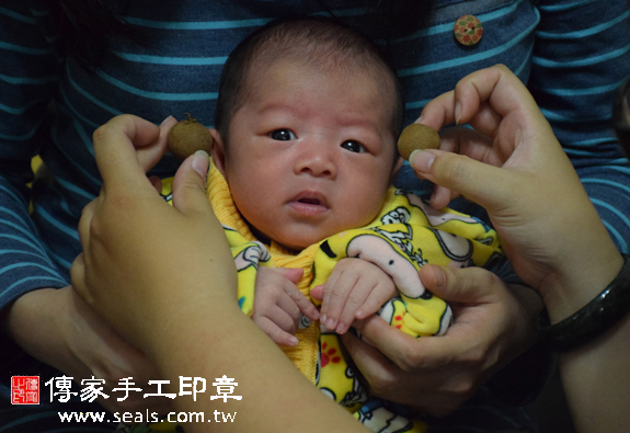 林寶寶(南投草屯到府嬰兒寶寶滿月剃頭理髮、免費到府嬰兒剃胎毛儀式吉祥話)。到府剃頭剃胎毛主持、專業拍照、DVD光碟、證書。★購買「臍帶章、肚臍章、胎毛筆刷印章」贈送：剃頭、收涎、抓周，三選一。2015.12.08 照片7